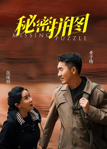 秘密拼图封面图
