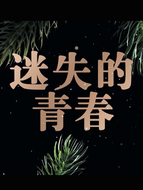 迷失的青春封面图
