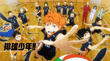 排球少年中配版封面图