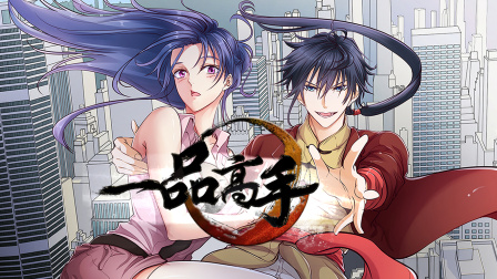 一品高手封面图