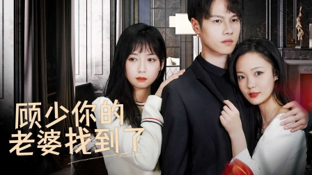 顾少你的老婆找到了封面图