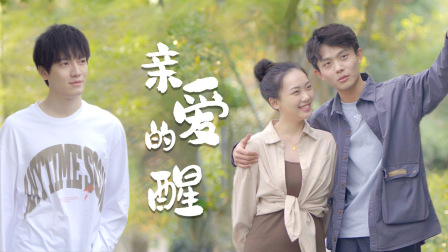 亲爱的醒封面图