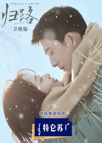 归路卫视版封面图