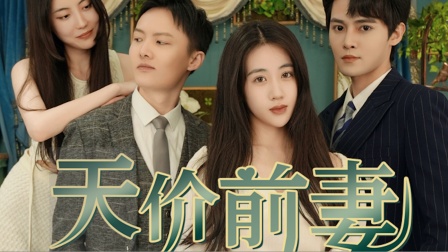 天价前妻封面图