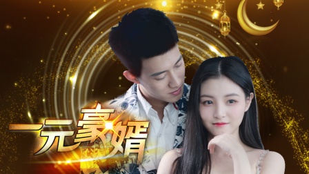 一元豪婿封面图