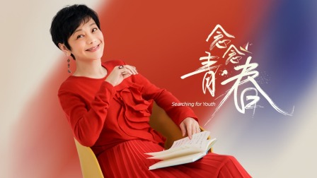 念念青春简体版封面图