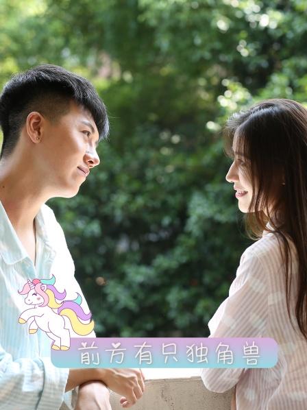 前方有只独角兽封面图