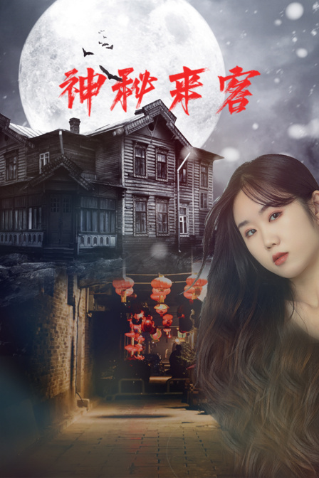 神秘来客封面图