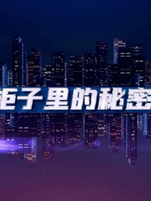 柜子里的秘密封面图