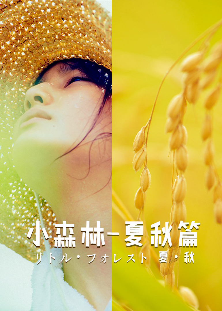 小森林夏秋篇封面图