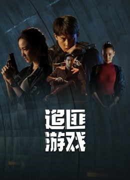 追匪游戏普通话版封面图