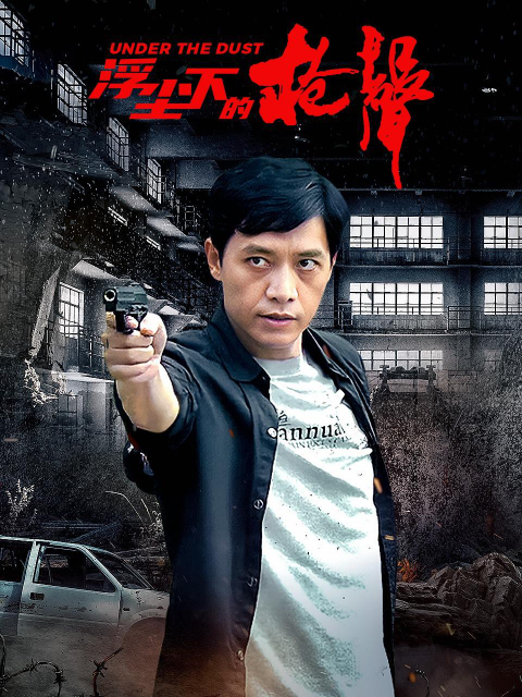浮尘下的枪声封面图