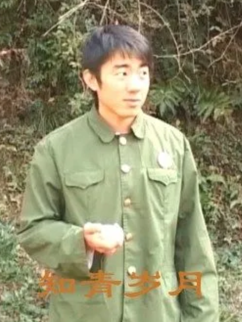 知青岁月封面图