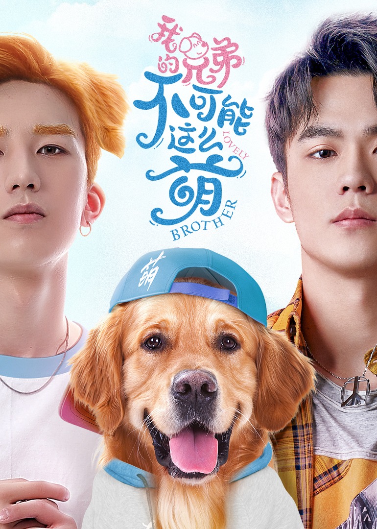 我的兄弟不可能这么萌封面图