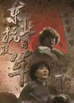东北抗日联军封面图