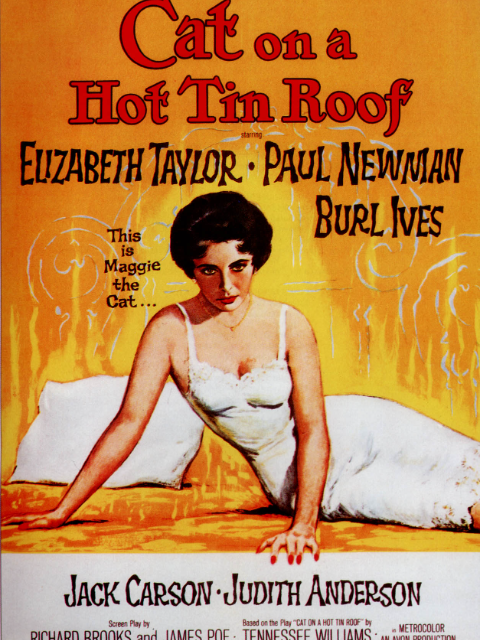 朱门巧妇封面图