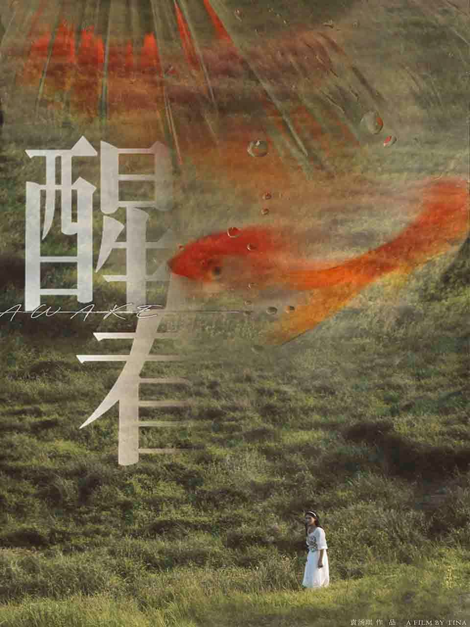 醒着Awake封面图