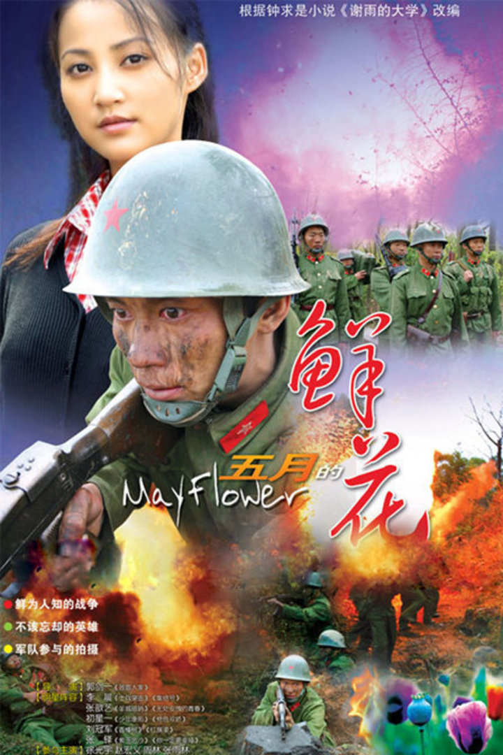 五月的鲜花封面图