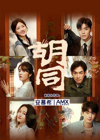 胡同国际版封面图