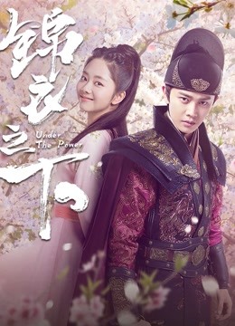 锦衣之下封面图