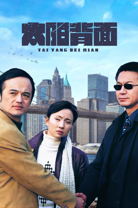 太阳背面封面图