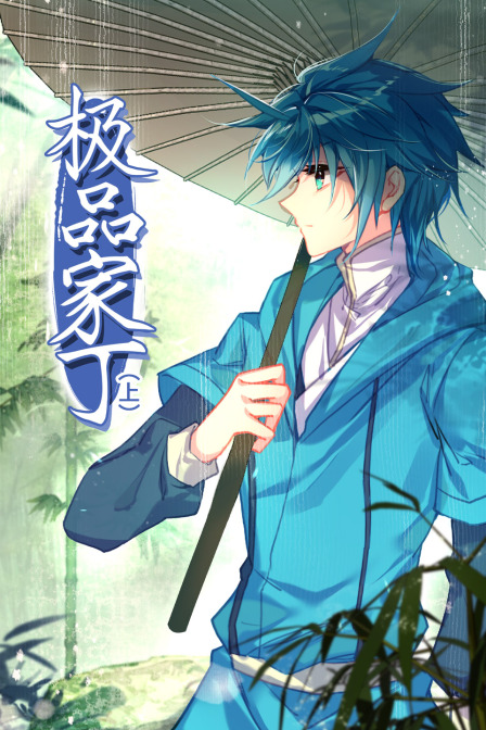 极品家丁（上）封面图