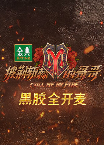 披荆斩棘的哥哥黑胶全开麦封面图