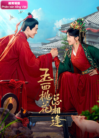 玉面桃花总相逢越南语版封面图