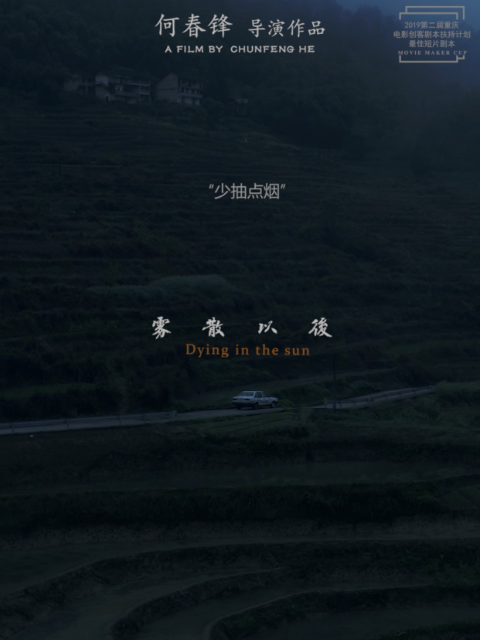 雾散以后封面图