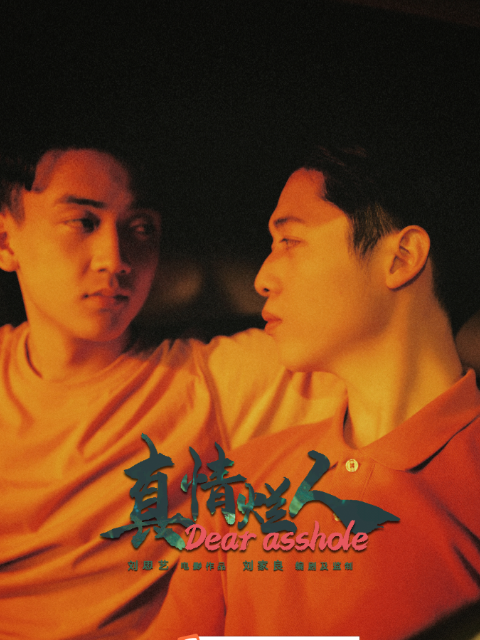 真情烂人封面图