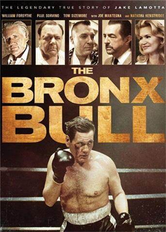 愤怒的公牛2016封面图