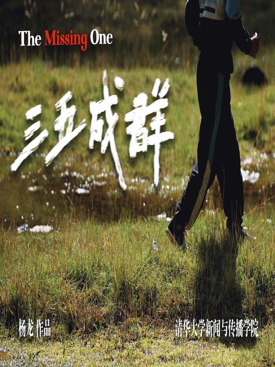 三五成群封面图