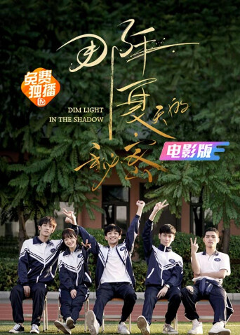 那年夏天的秘密电影版封面图