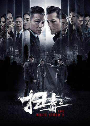 扫毒2：天地对决封面图