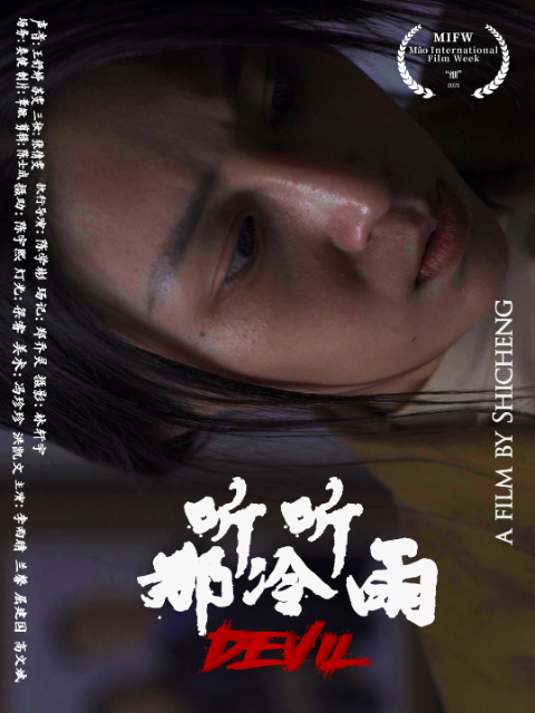 听听那冷雨封面图