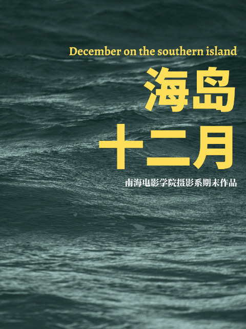 海岛十二月封面图