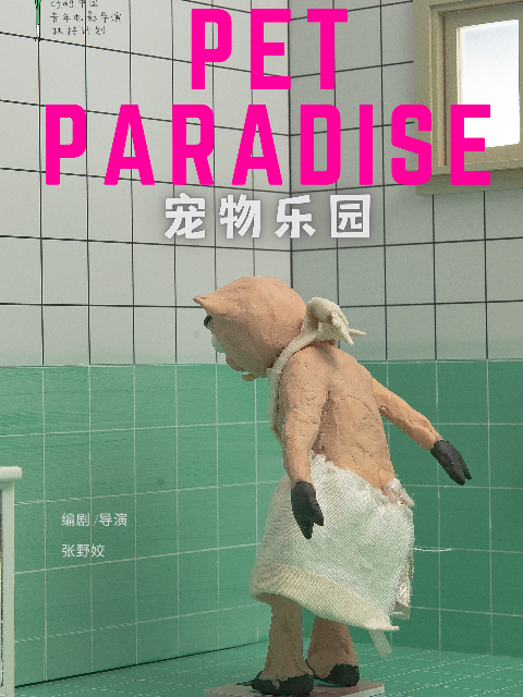 宠物乐园封面图
