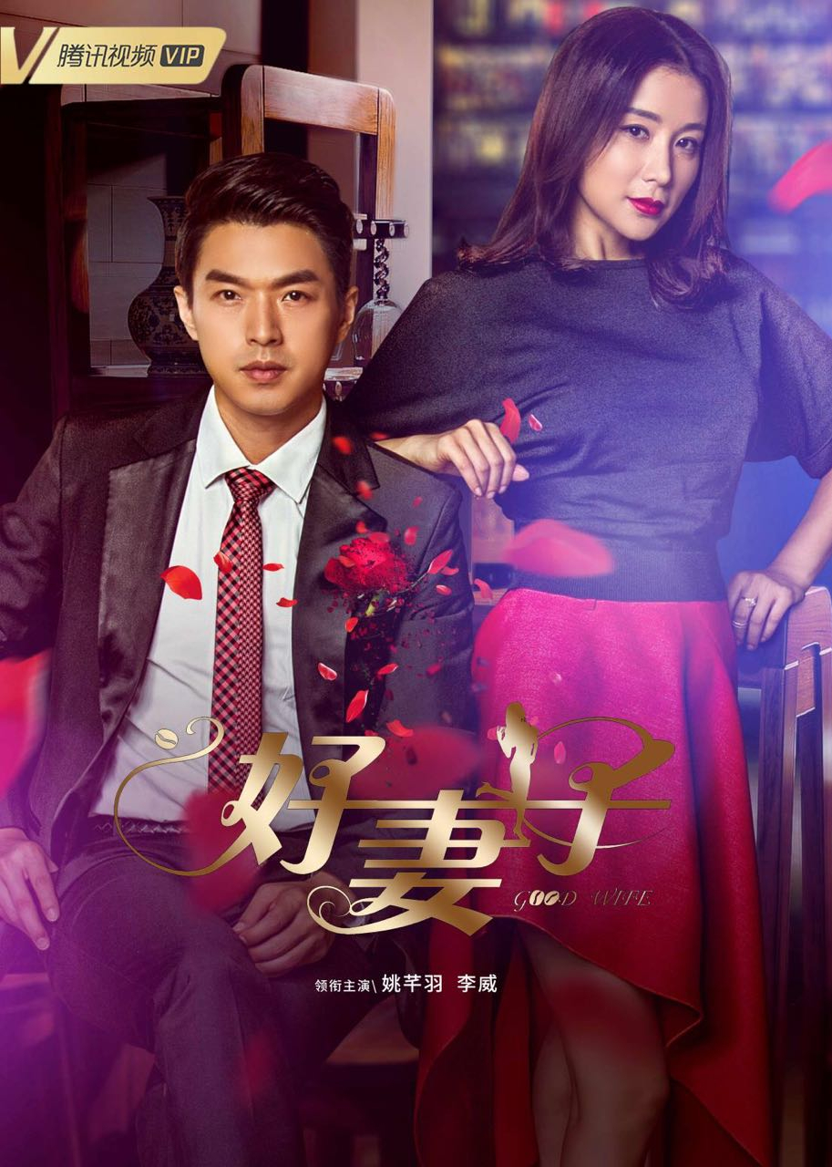 好妻子封面图