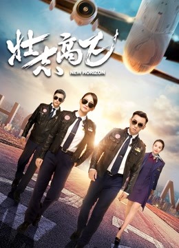 壮志高飞封面图