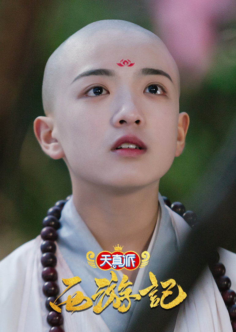 天真派西游记封面图