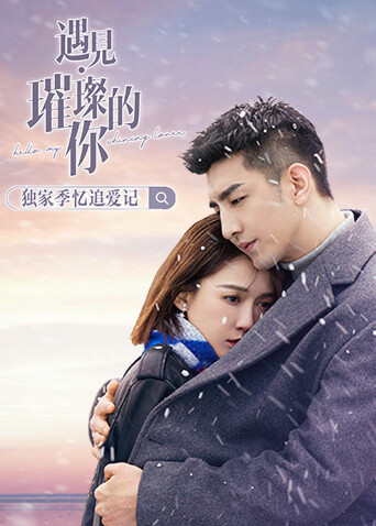 遇见璀璨的你 独家季忆追爱记封面图