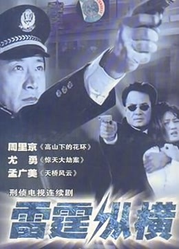 雷霆纵横封面图