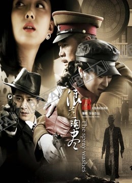 浪花淘尽封面图