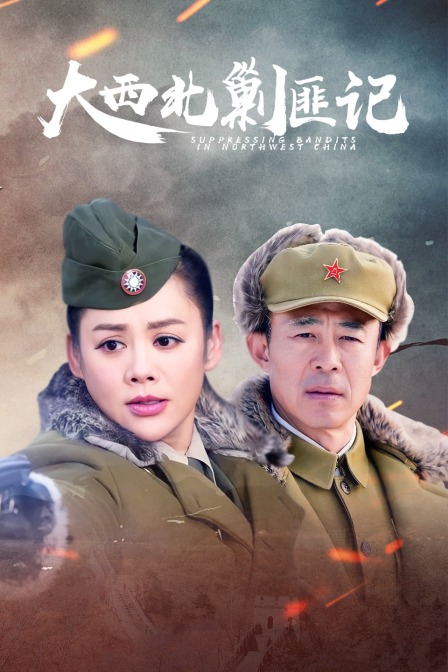 大西北剿匪记封面图