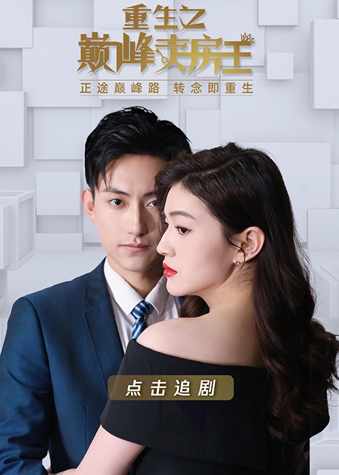 重生之巅峰卖房王封面图