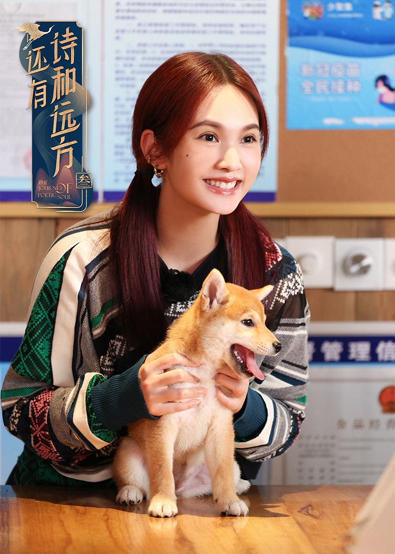 还有诗和远方 诗画浙江篇封面图