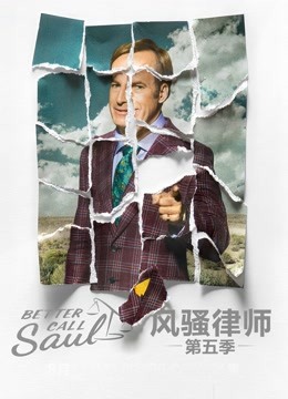 风骚律师 第五季封面图