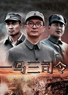 一马三司令封面图