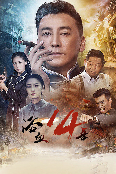 浴血十四年封面图