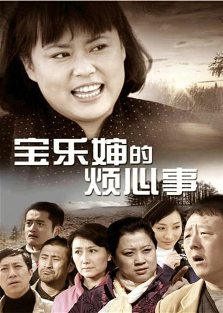 宝乐婶的烦心事封面图